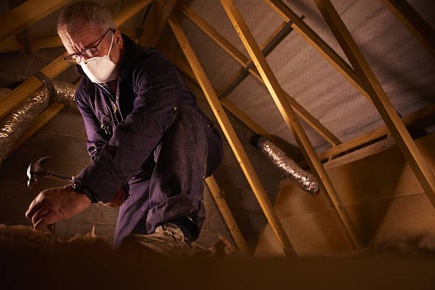 Types of Insulation We Offer in Bristol, IN